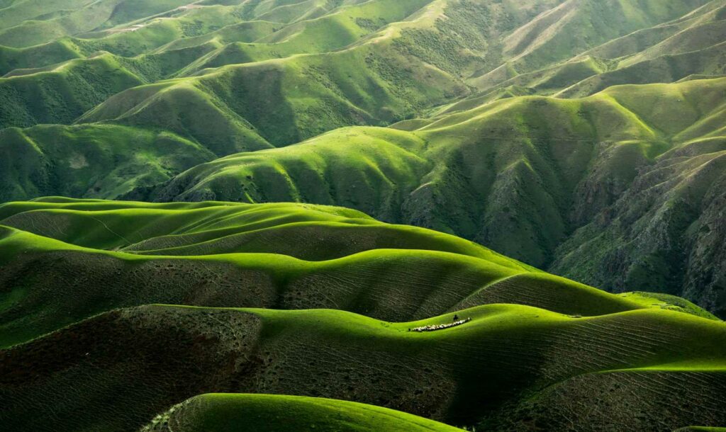 Sidhart Films - Green planet